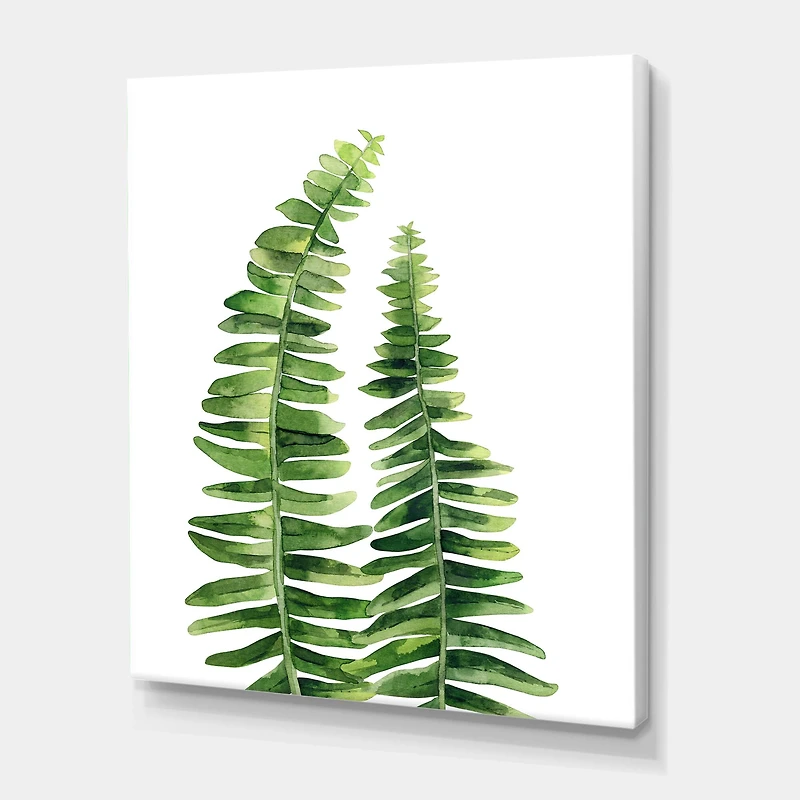 Designart - Fern Leaves Detail IV