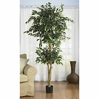6ft. Potted Double Ball Ficus Silk Tree