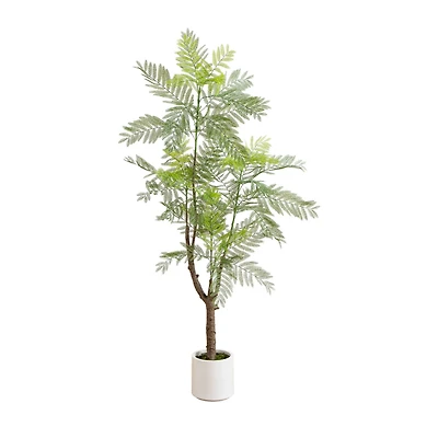 6ft. Artificial Minimalist Jacaranda Tree in White Decorative Planter