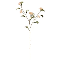 32" Wild Mum Stem with 5 Flowers by Ashland