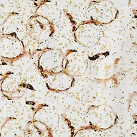 12 Pack: Contemporary Design Fabric Bundle by Loops & Threads™