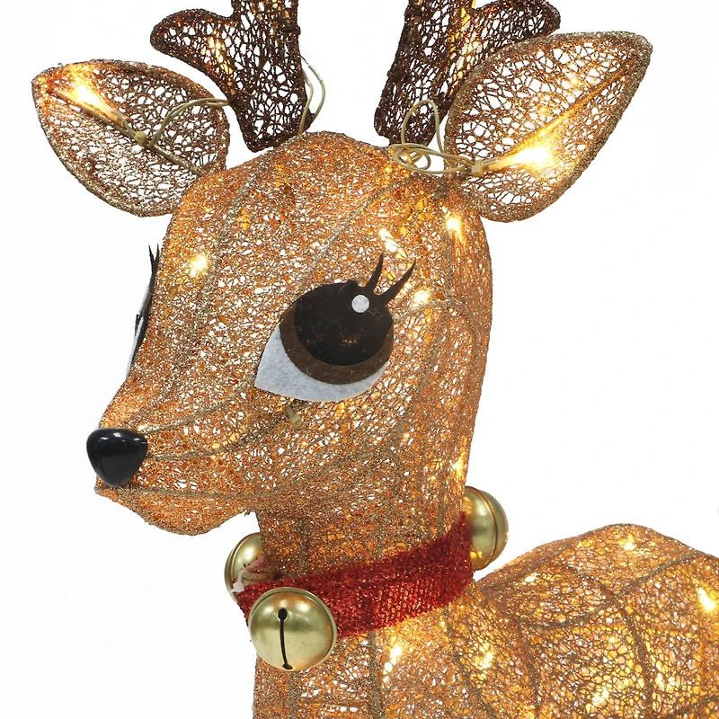 Lighted Outdoor Wire Frame Deer Set