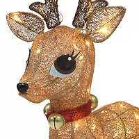 Lighted Outdoor Wire Frame Deer Set