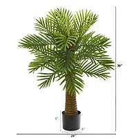 3ft. Potted Date Palm Tree