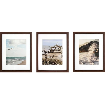 3 Pack Gallery™ 8" x 10" Brown Frame with Mat by Studio Décor®