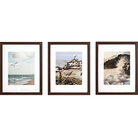 3 Pack Gallery™ 8" x 10" Brown Frame with Mat by Studio Décor®
