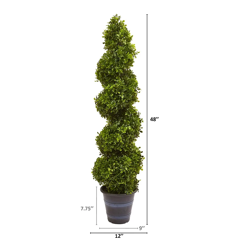 4ft. Boxwood Spiral Topiary in Planter