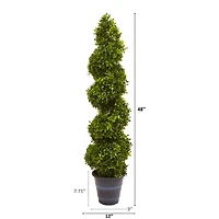 4ft. Boxwood Spiral Topiary in Planter