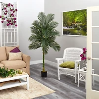 7ft. Potted Golden Cane Palm Tree