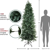 7.5ft. Unlit Real Touch™️ Washington Frasier Fir Artificial Christmas Tree