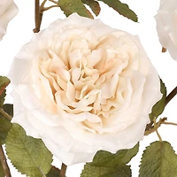 19" White Rose Deluxe Bush by Ashland®