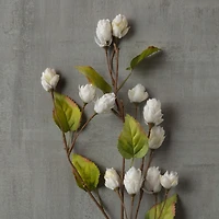 12 Pack: Cream Hops Spray by Ashland®