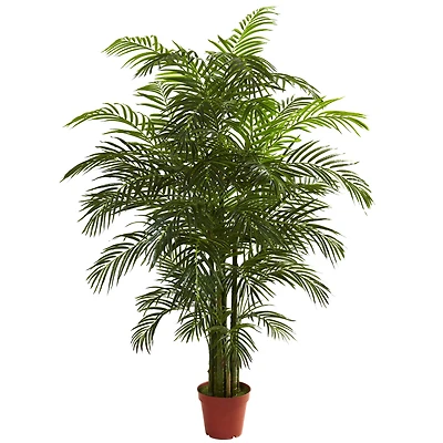 6.5ft. Potted Areca Palm