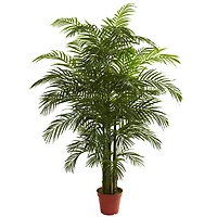 6.5ft. Potted Areca Palm