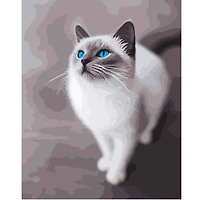 16" x 20" White Cat Paint-by-Number Kit by Artist's Loft®