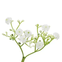 11.5" Baby's Breath Pick by Ashland