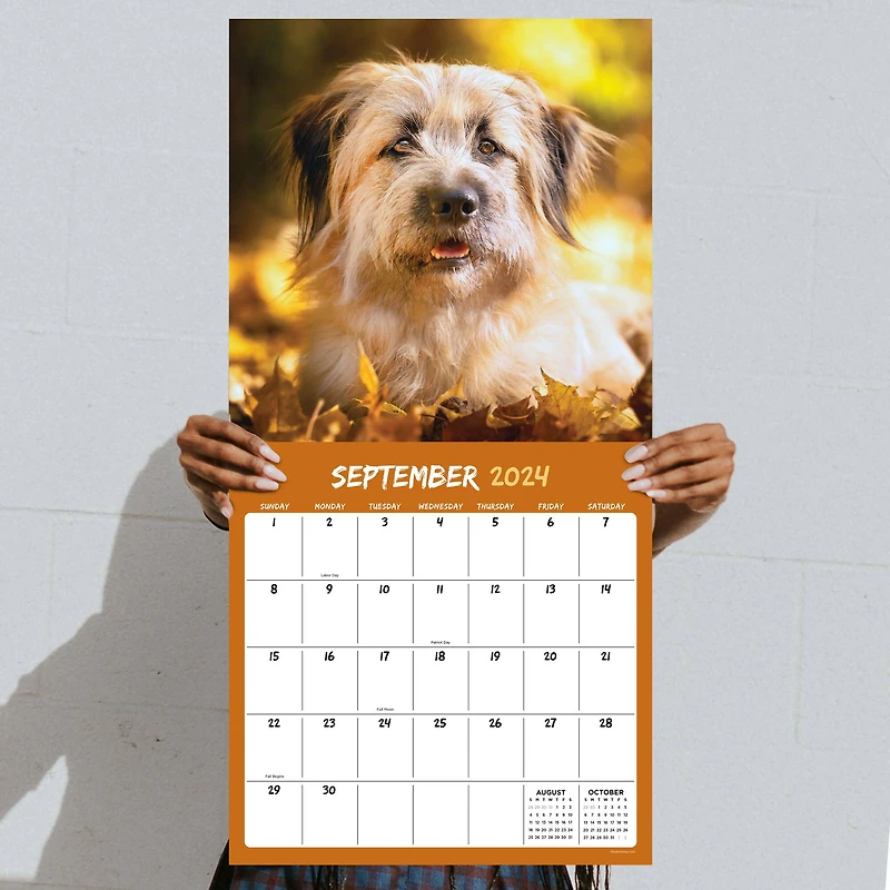 TF Publishing 2024 Mutts Wall Calendar