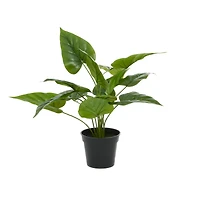 Green Plastic Traditional Artificial Foliage, 17" x 21" x 17"