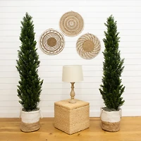 6ft. Potted UV Resistant Topiary Cedar Trees, 2ct.