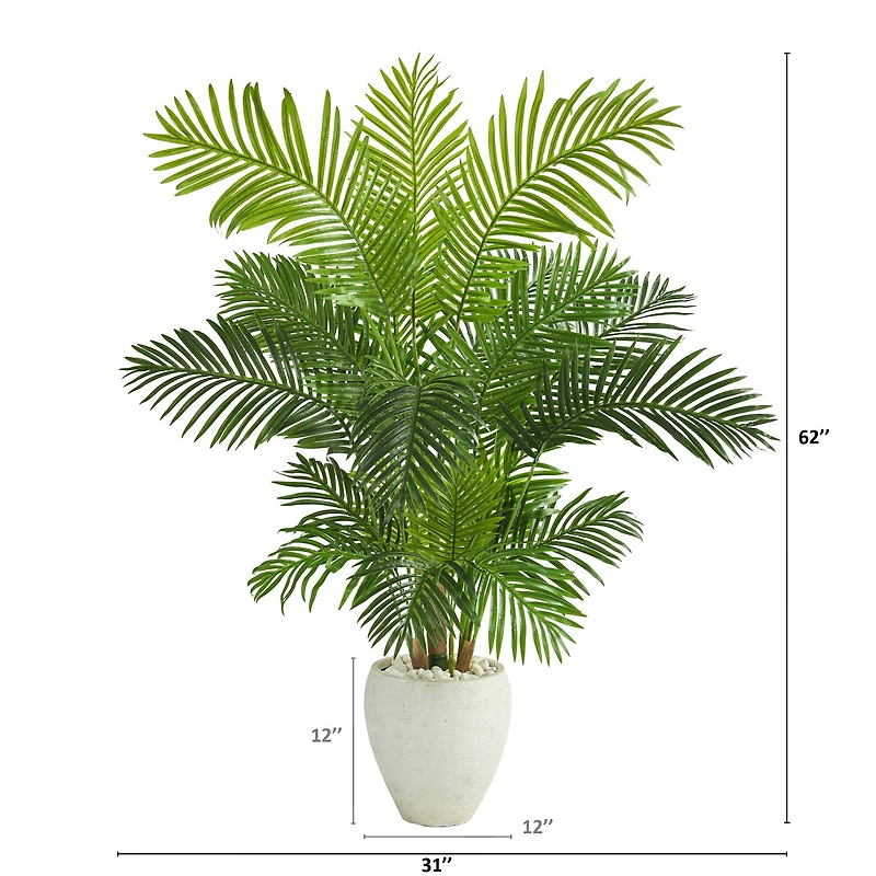 5ft. Hawaii Palm Tree in White Planter