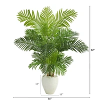 5ft. Hawaii Palm Tree in White Planter