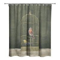 Gold Birdcage with Birds on Green 71" x 74" Shower Curtain