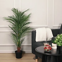 3.9ft. Potted Areca Palm Tree