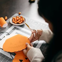 Fiskars® SoftGrip® No.5 Titanium Micro-Tip® Scissors