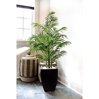4.5ft. UV Resistant Areca Palm Tree with Black Wash Planter