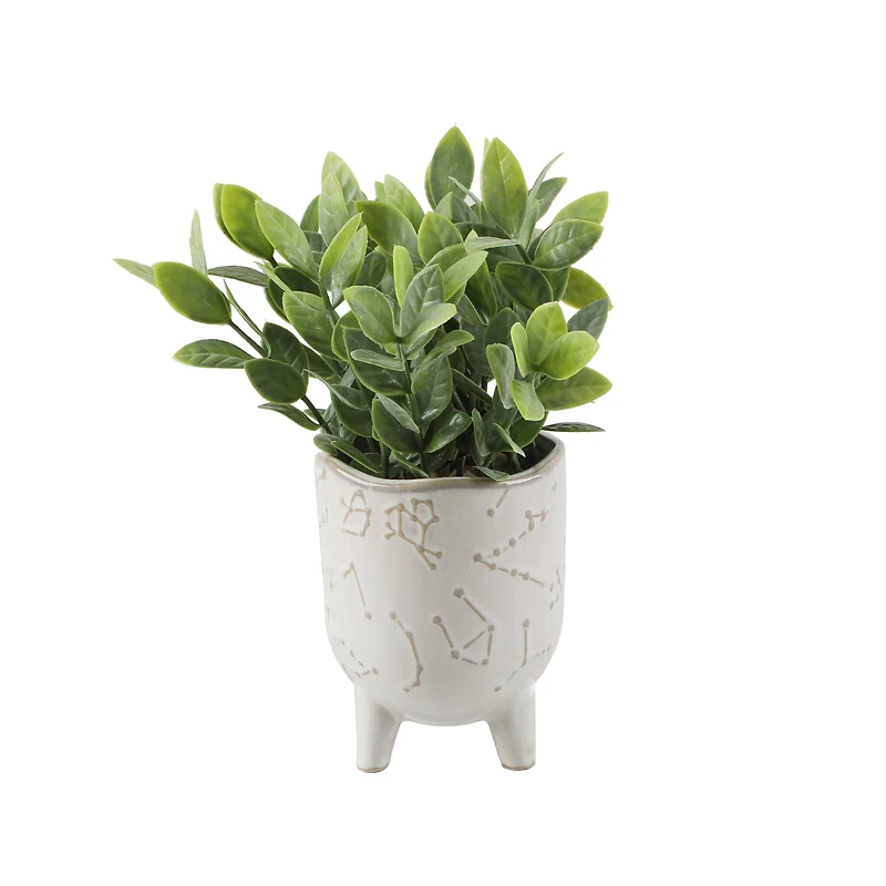 Flora Bunda® Tea Leaf In 3" Ivory Constellation Footed Set