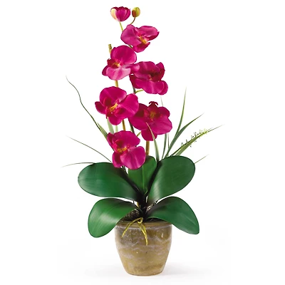 21" Moth Orchid Flower Arrangement in Ceramic Pot