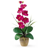 21" Moth Orchid Flower Arrangement in Ceramic Pot