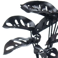 14.5" Potted Broken Heart Monstera by Ashland®