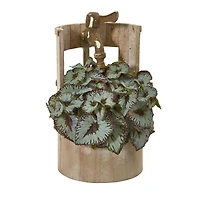 12" Rex Begonia in Faucet Planter