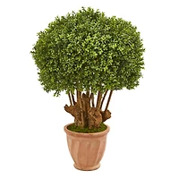 3.3ft. Boxwood Artificial Topiary Tree in Terracotta Planter