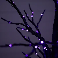 4ft. Pre-Lit LED Black Twig Artificial Halloween Tree