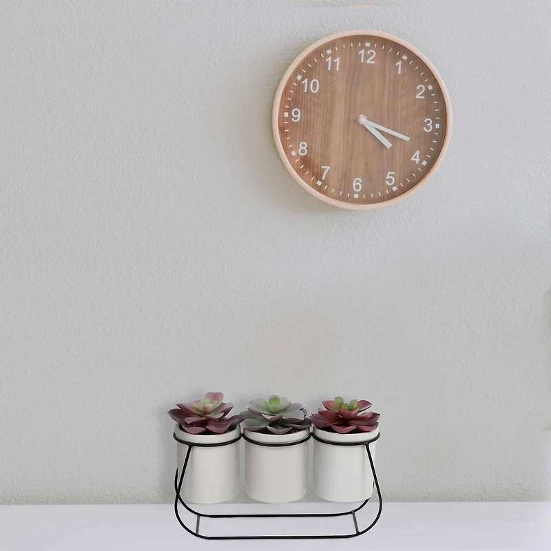 Flora Bunda® 11.5" Potted Succulents in Metal Stand