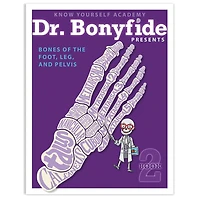 Know Yourself 4 Book Set: Dr. Bonyfide Presents 206 Bones of the Human Body