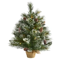 2ft. Pre-Lit Frosted Pine Artificial Christmas Tree with Pinecones, Clear LED Lights