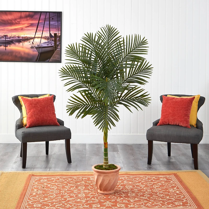 5ft. Golden Cane Palm Tree in Terra-Cotta Planter