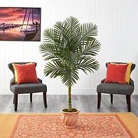 5ft. Golden Cane Palm Tree in Terra-Cotta Planter 