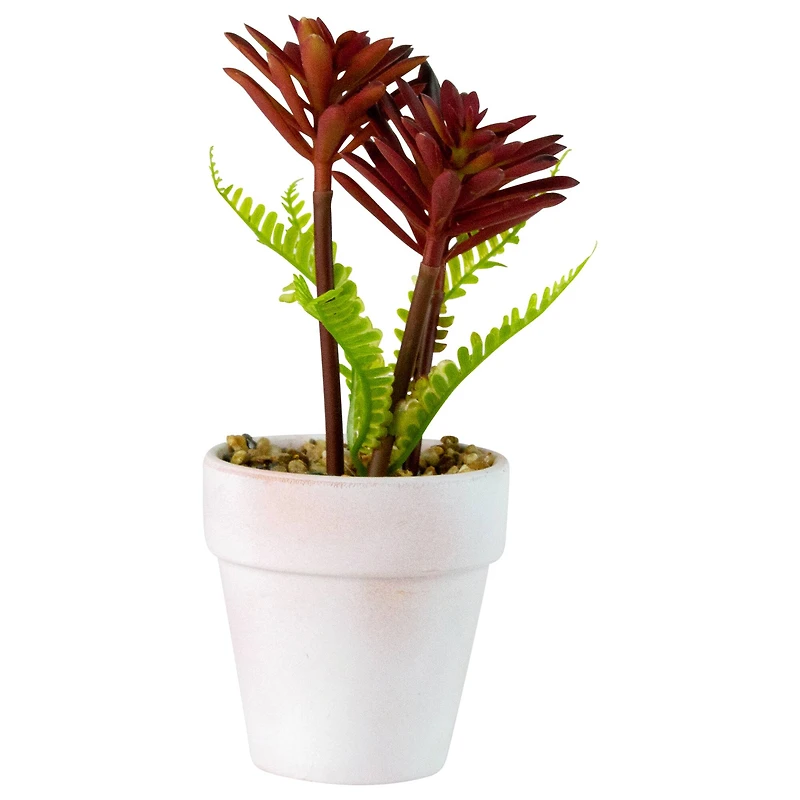 8" Red And Green Succulent Fern In Ceramic White Pot