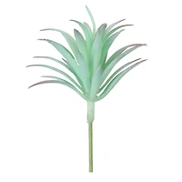 Succulent Mix by Ashland®