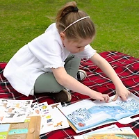 Micador jR. Reusable Sticker Activities Wildlife Pack