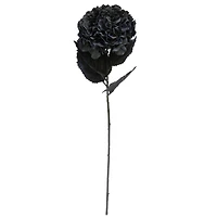 Black Hydrangea Stem by Ashland®