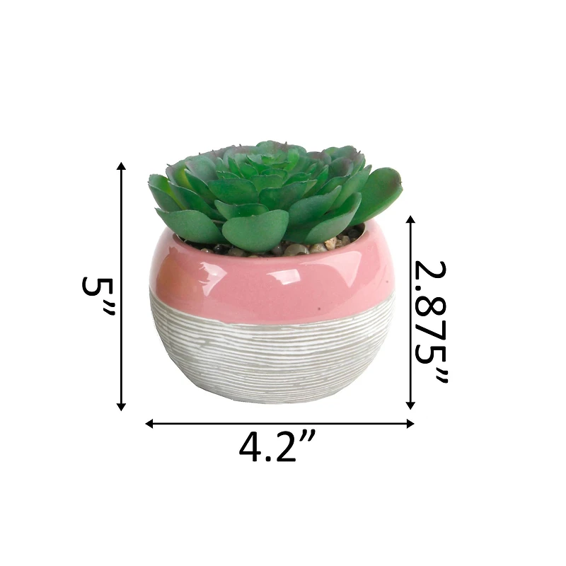 Flora Bunda® Succulent In Two Tone Lines Pattern Pink Ceramic Pot 