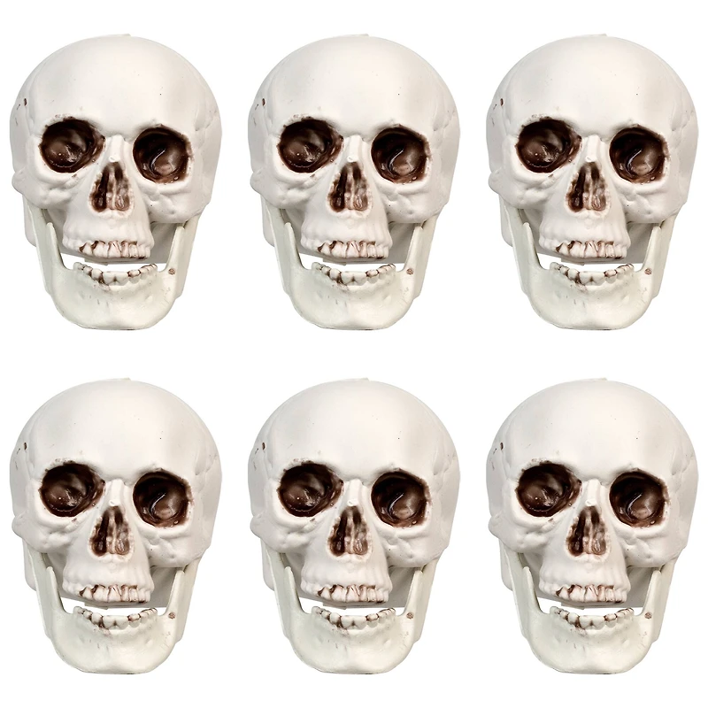 3.5'' Skull Head Halloween Decorations, 6ct.