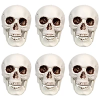 3.5'' Skull Head Halloween Decorations, 6ct.