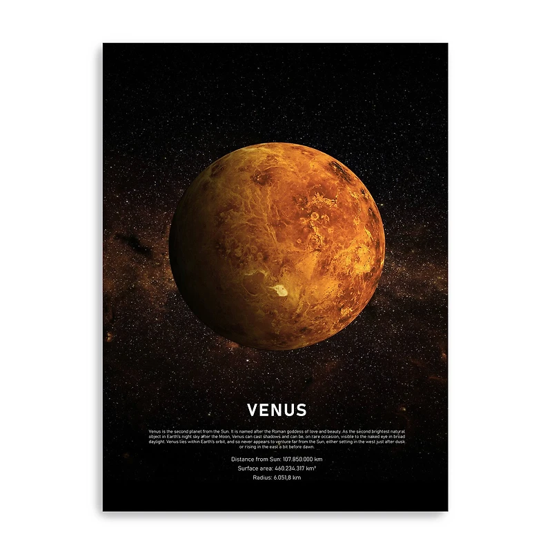 Venus Canvas Giclee