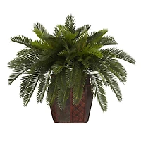 19" Double Cycas with Vase